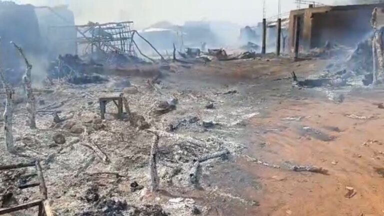 Tragedy in Kokoloko: military drone strike kills 17 civilians at Niger market