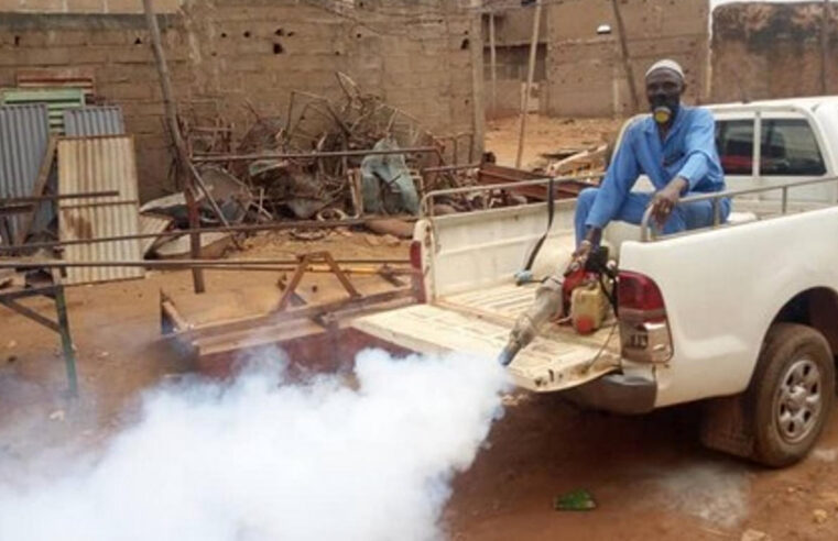 Dengue in Mali: current outbreak and prevention tips