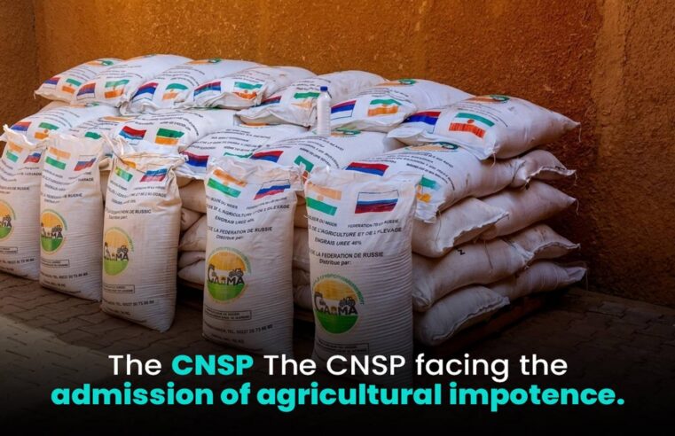 Niger’s agricultural aid dilemma: russian fertilizer and national sovereignty