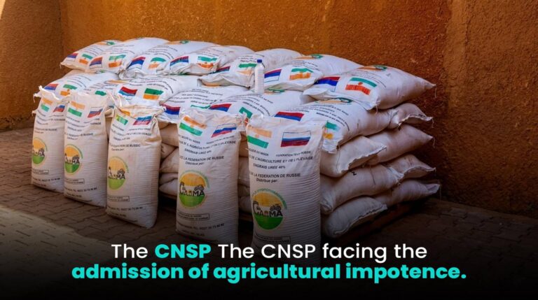 Niger’s agricultural aid dilemma: russian fertilizer and national sovereignty