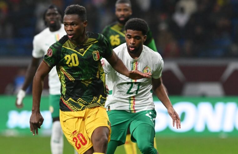Mali national team announces departure of coach tom saintfiet post-can