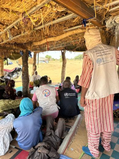 How the WHO supports NGOs in Mali’s health sector