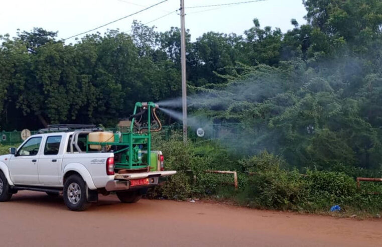 Burkina Faso faces unprecedented dengue outbreak
