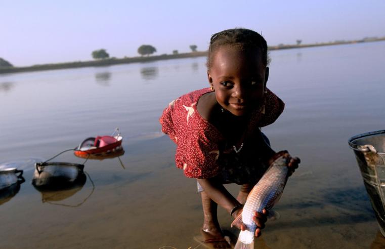 WHO recognises Niger as first African country to eliminate river blindness