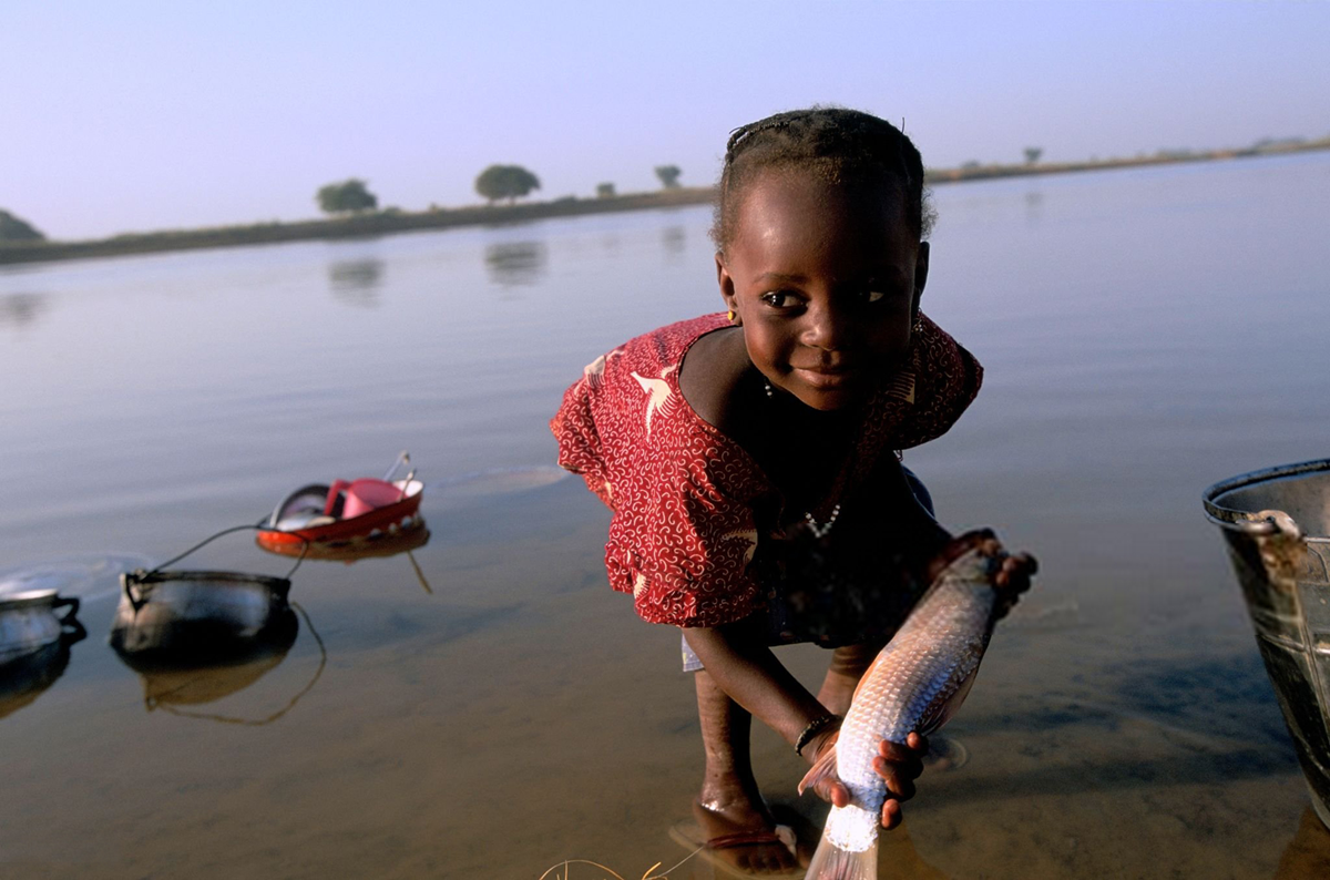 WHO recognises Niger as first African country to eliminate river blindness