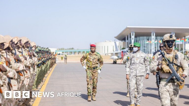 How the unified force of the Sahel alliance could achieve its goals