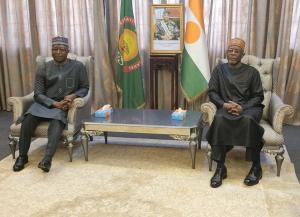New who representative in Niger sets path for health system reforms