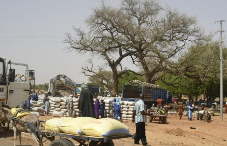 Massive displacement surge in Niger’s western region amid armed group pressure