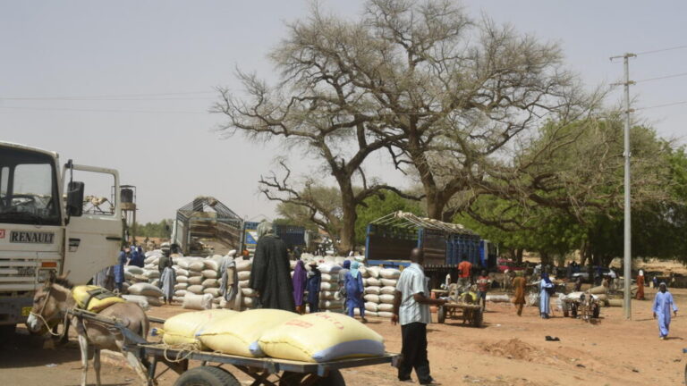 Massive displacement surge in Niger’s western region amid armed group pressure