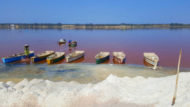 Senegal protests erupt over luxury green city project at Lac Rose