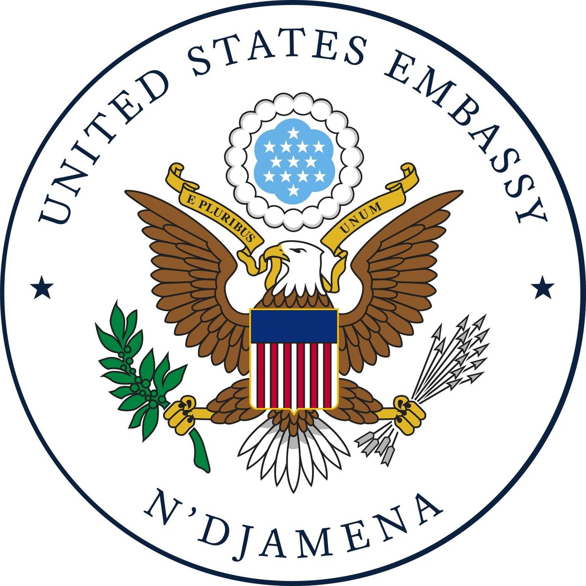 Virtual town hall for us citizens in Chad