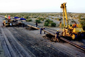 Chad halts chinese oil firm operations over environmental violations