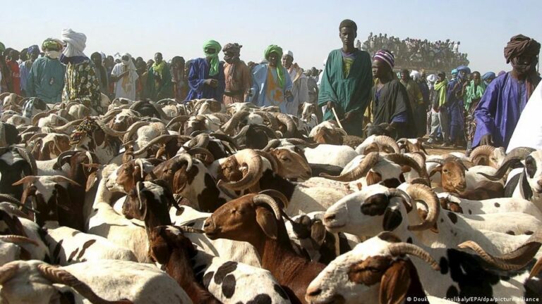 Mali secures livestock supply ahead of tabaski with military escort