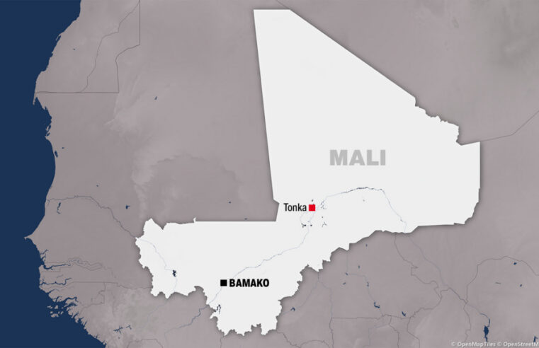 Jnim jihadists publicly execute quranic teacher in Mali’s Tonka, Timbuktu region