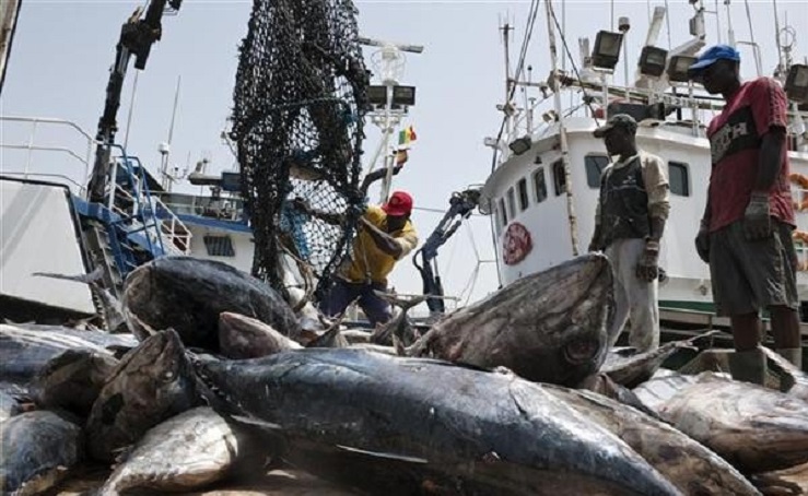 Le Sénégal attribue quatre licences de pêche démersale pour renforcer l’approvisionnement du marché national