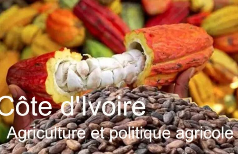 Agricultural development and the evolution of farming in Côte d’Ivoire