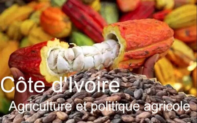 Agricultural development and the evolution of farming in Côte d’Ivoire