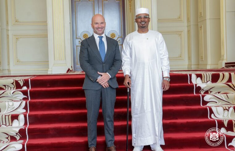 Tchad: new eu ambassador presents credentials to president mahamat idriss déby itno