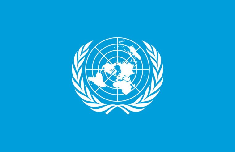 Un security council denounces recent terrorist assaults in Mali