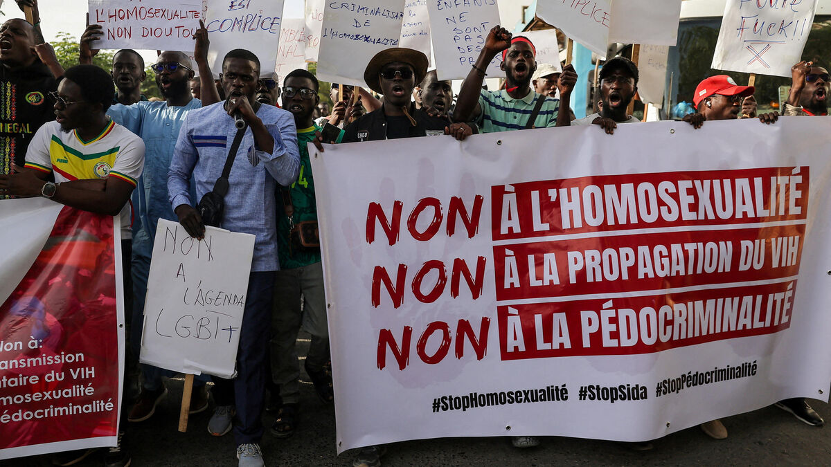 French national detained in Senegal over homosexuality amid rising anti-lgbtq+ laws