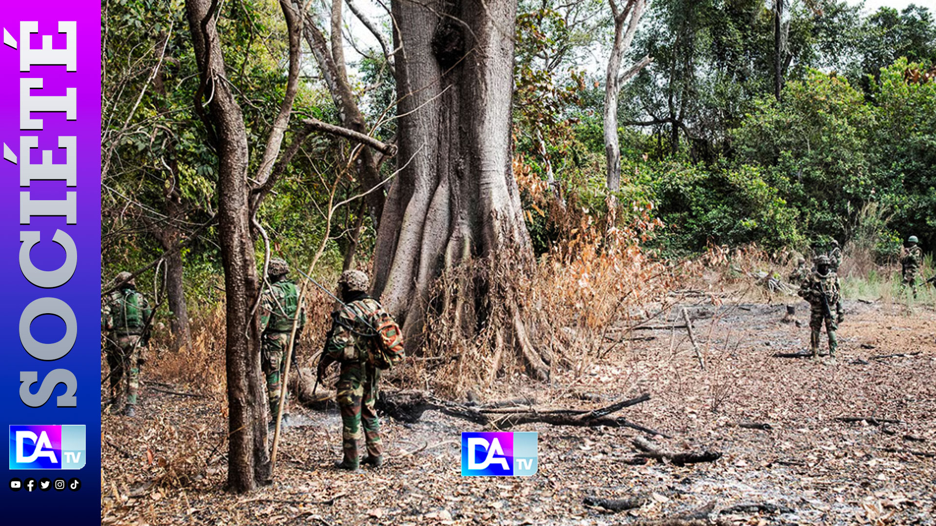 Casamance conflict: weakened rebels but cannabis threat to peace efforts
