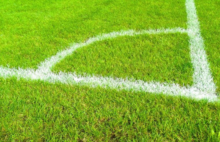 Nice vs saint-etienne live: crucial ligue 1 promotion battle set for friday night