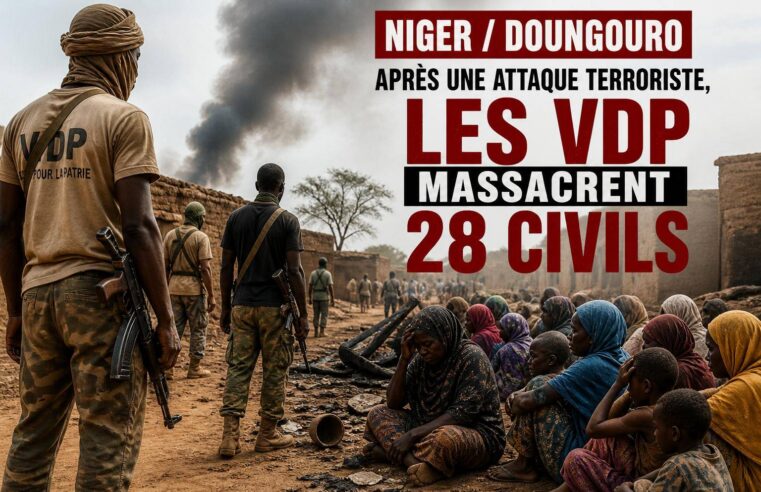 Tragic events in doungouro: Niger vdp massacre civilians after terror attack