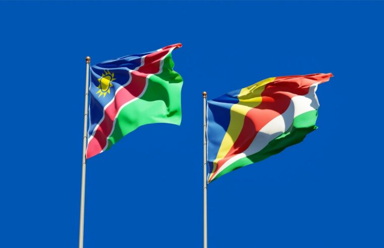 Joseph Figueira case highlights Wagner’s propaganda in Central African Republic