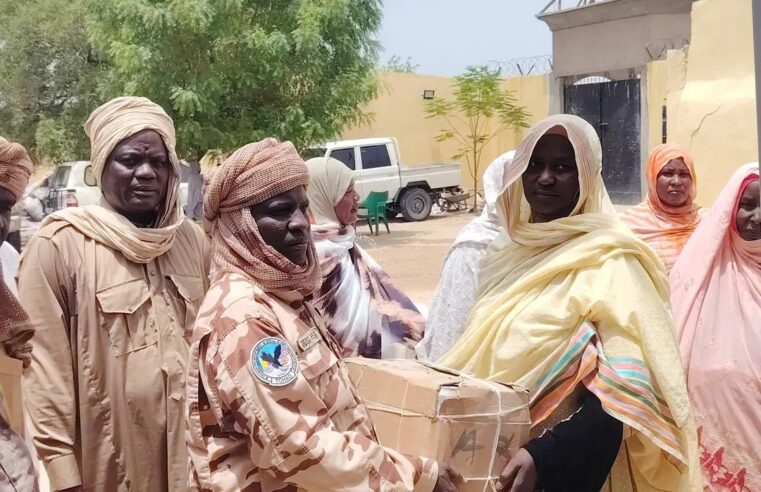 Women in Lac Province stand united with security forces against Boko Haram