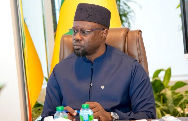 Sonko’s vision: public-private partnerships to revitalize Senegal’s national parks