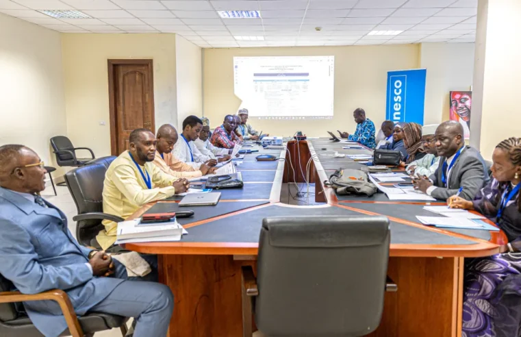 Tchad studies digital education model in Cameroon during unesco-backed mission