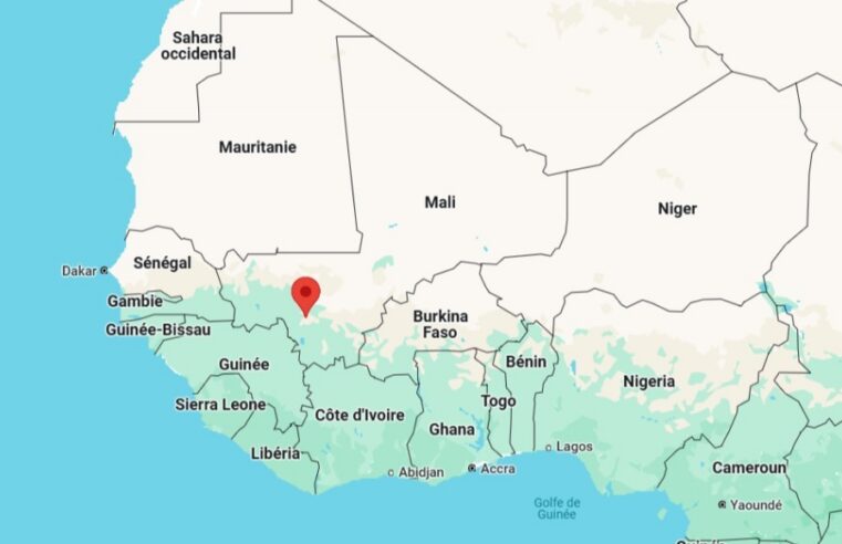 Mali protests in Bamako against political party ban fears
