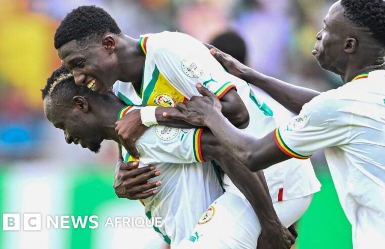 Senegal’s football academies: nurturing the next generation of global stars for world cup 2026