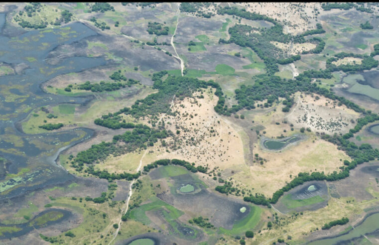 Deadly airstrikes on lake Chad fishermen in Nigeria