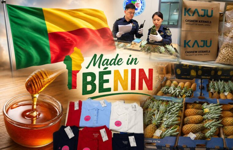 Bénin’s agricultural exports: how local farmers conquer global markets