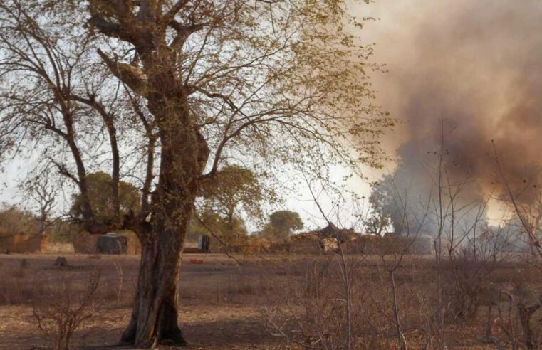 Rival militant factions intensify battle for control of Nigeria’s Sambisa forest