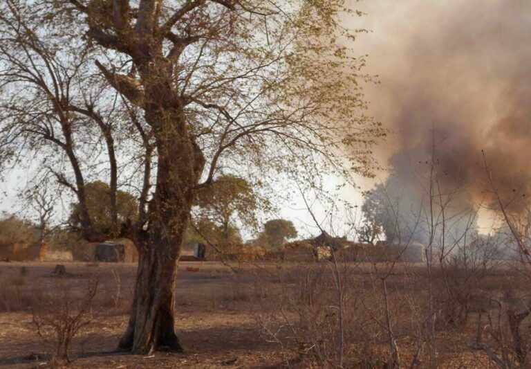 Rival militant factions intensify battle for control of Nigeria’s Sambisa forest
