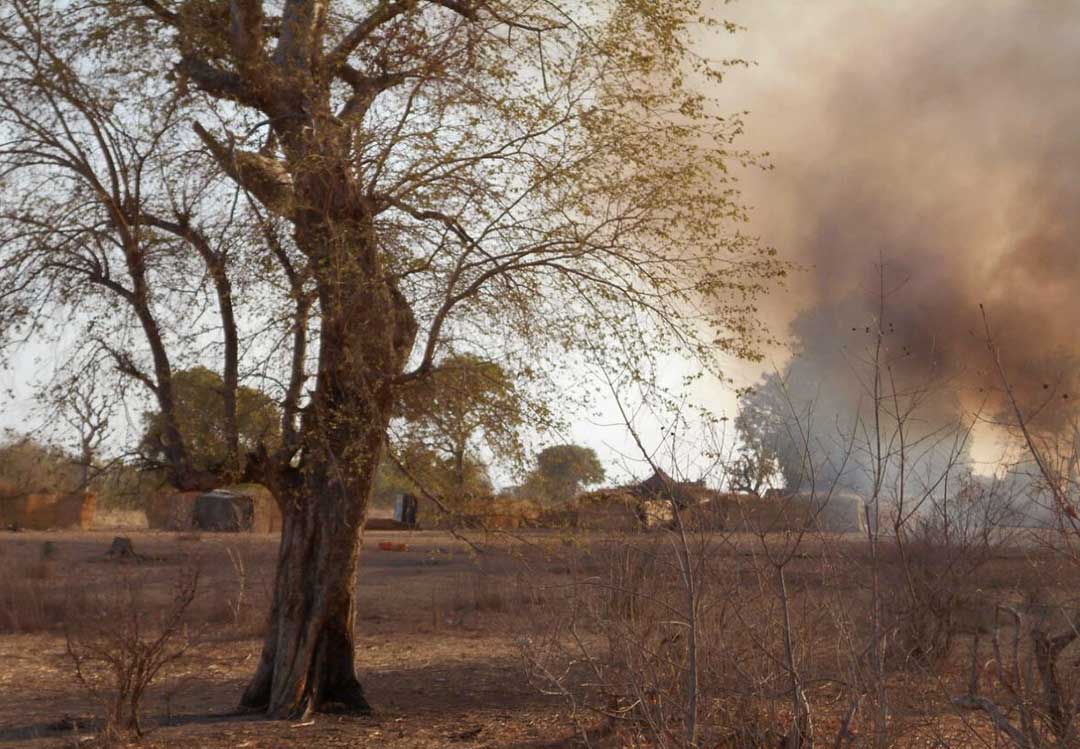 Rival militant factions intensify battle for control of Nigeria’s Sambisa forest