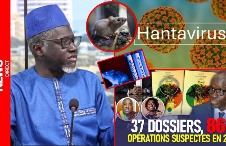 Hantavirus in Senegal: rising debt fuels public health crisis
