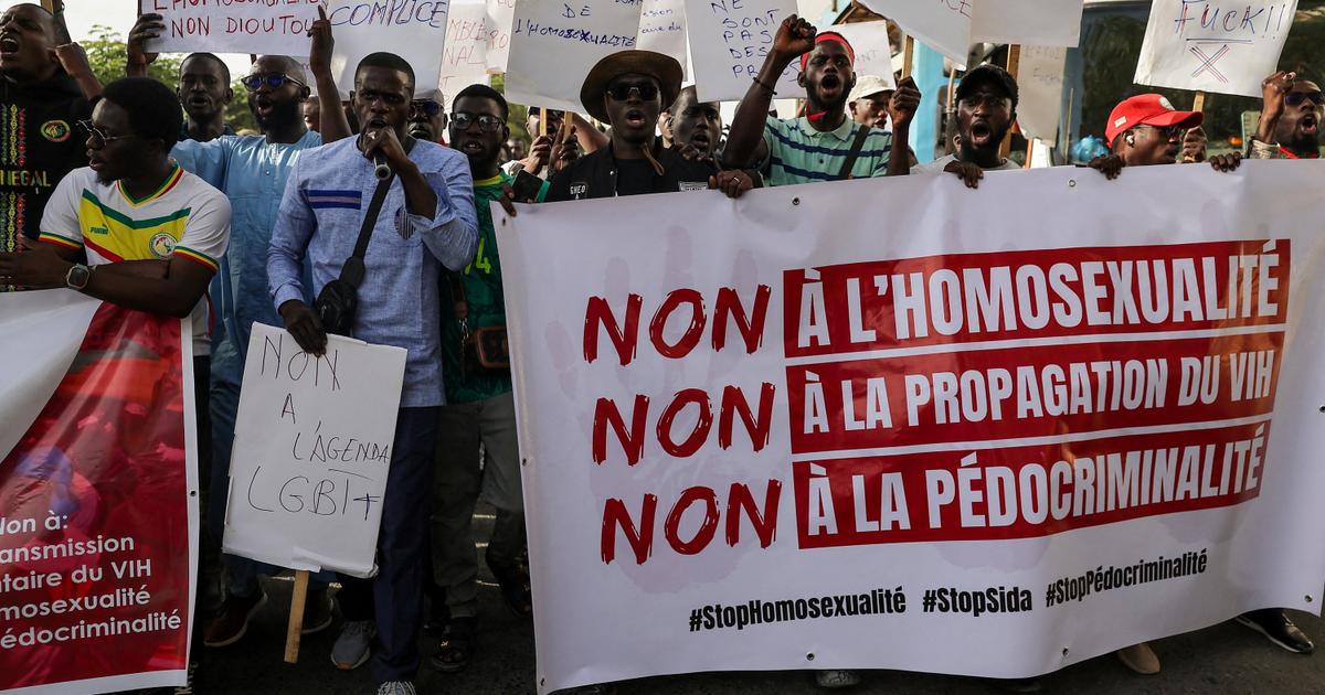 Senegal’s quiet courage: navigating rising state homophobia