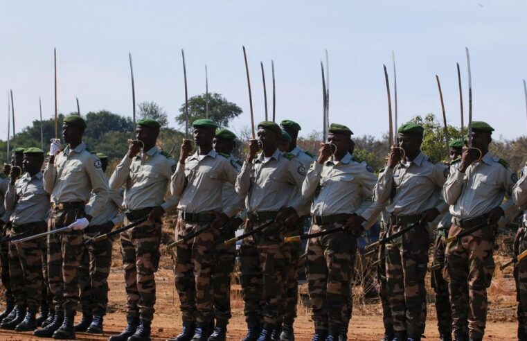 The Sahel crisis: a growing concern for european stability