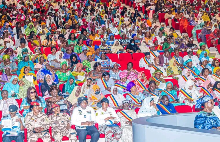 Chad’s struggle for women’s economic rights: a continental perspective