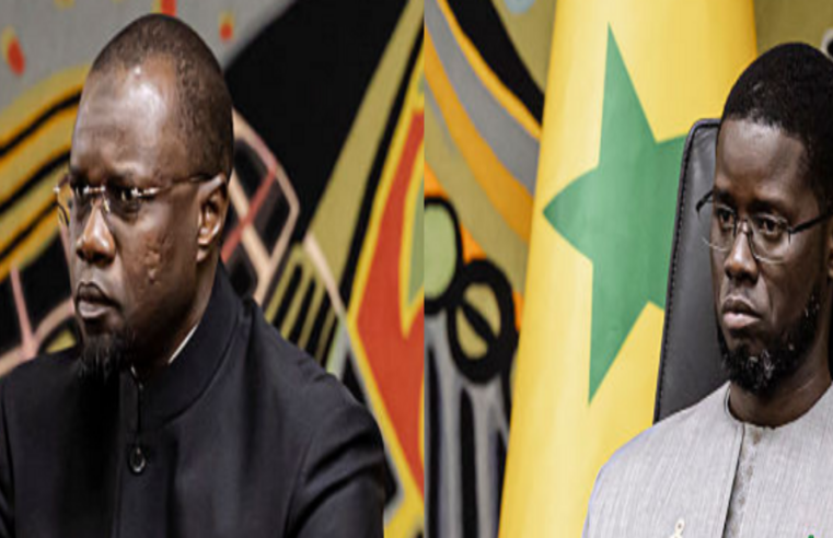 Diomaye – Sonko : après la rupture politique, quelles perspectives pour 2029 ?