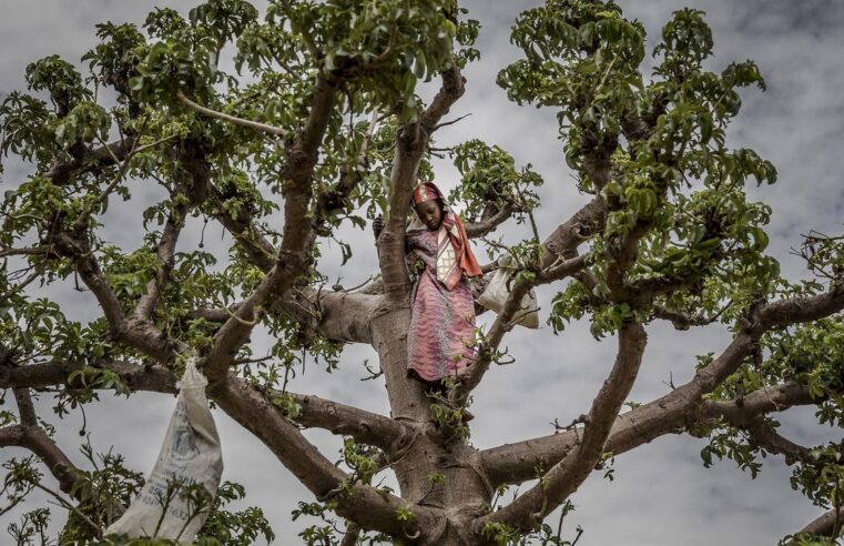 Niger’s severe economic downturn: a generation’s struggle for survival