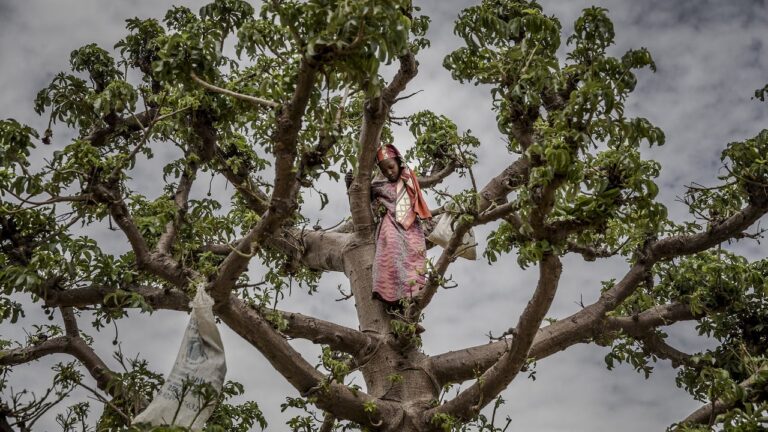 Niger’s severe economic downturn: a generation’s struggle for survival