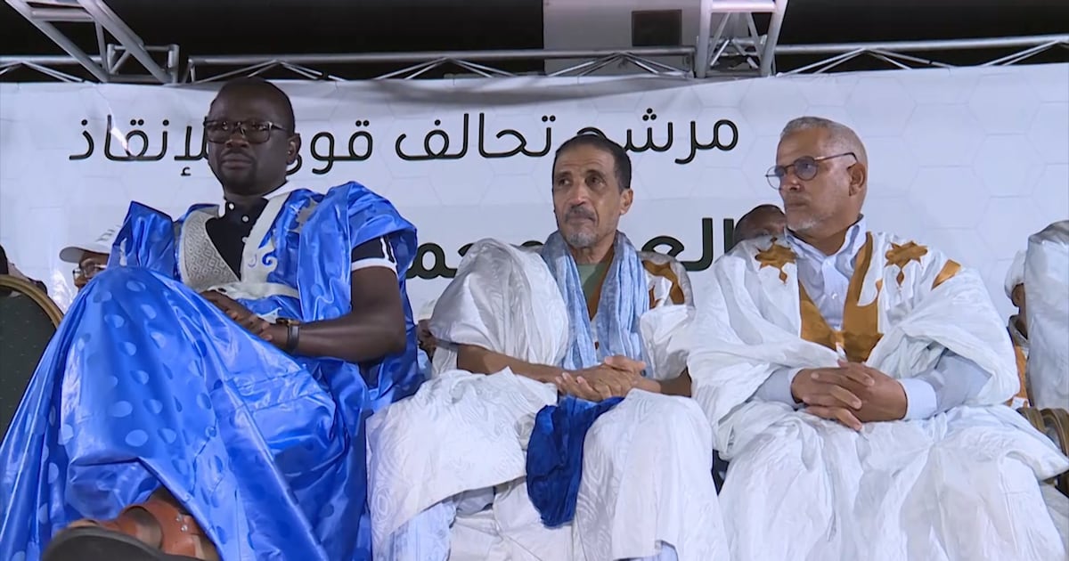 Mauritania’s new opposition leader faces daunting national challenges