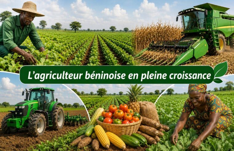 How Benin’s bold agricultural reforms boosted national growth since 2016