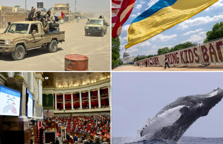 Mali’s complex alliances: assessing the jnim and fla partnership