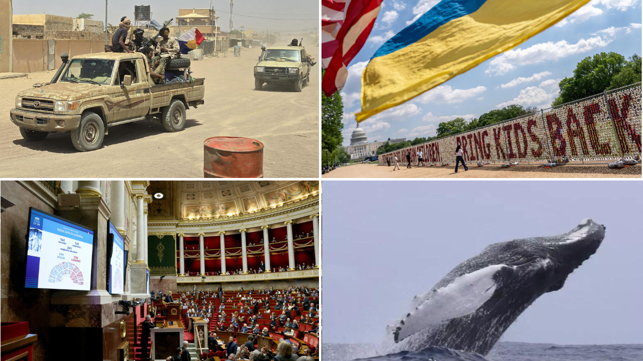 Mali’s complex alliances: assessing the jnim and fla partnership