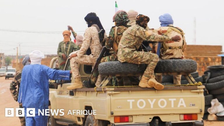 How the jnim and fla alliance is shaking Mali’s military leadership